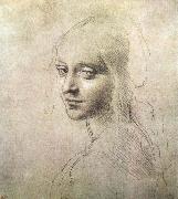 LEONARDO da Vinci Head of a girl oil painting artist